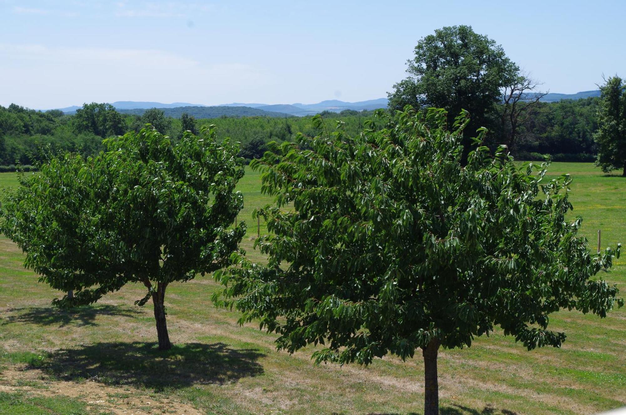 Domaine Joseph Lafarge Wine Resort Winemaker House La Maison Du Negociant Lugny 외부 사진