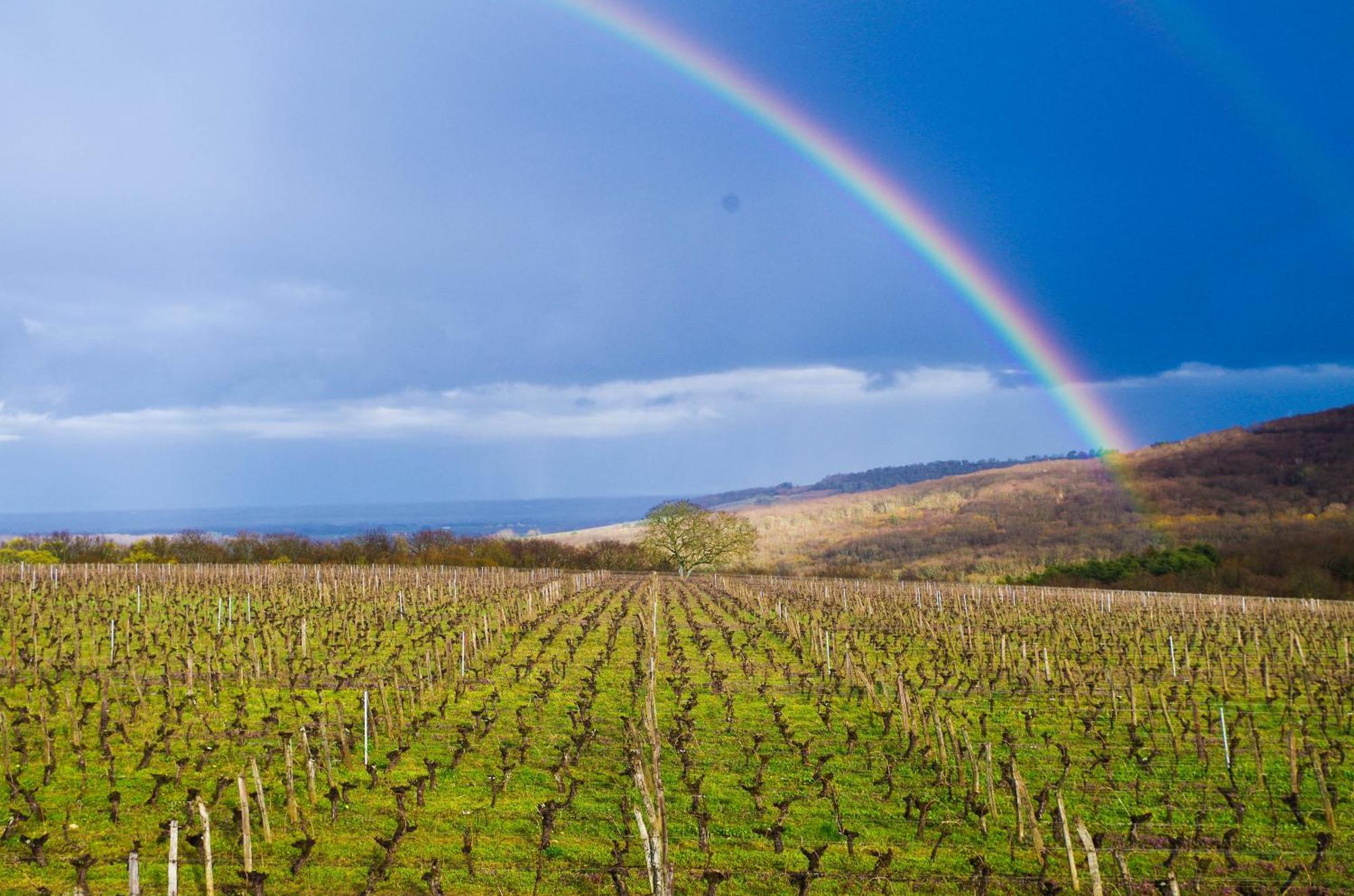 Domaine Joseph Lafarge Wine Resort Winemaker House La Maison Du Negociant Lugny 외부 사진